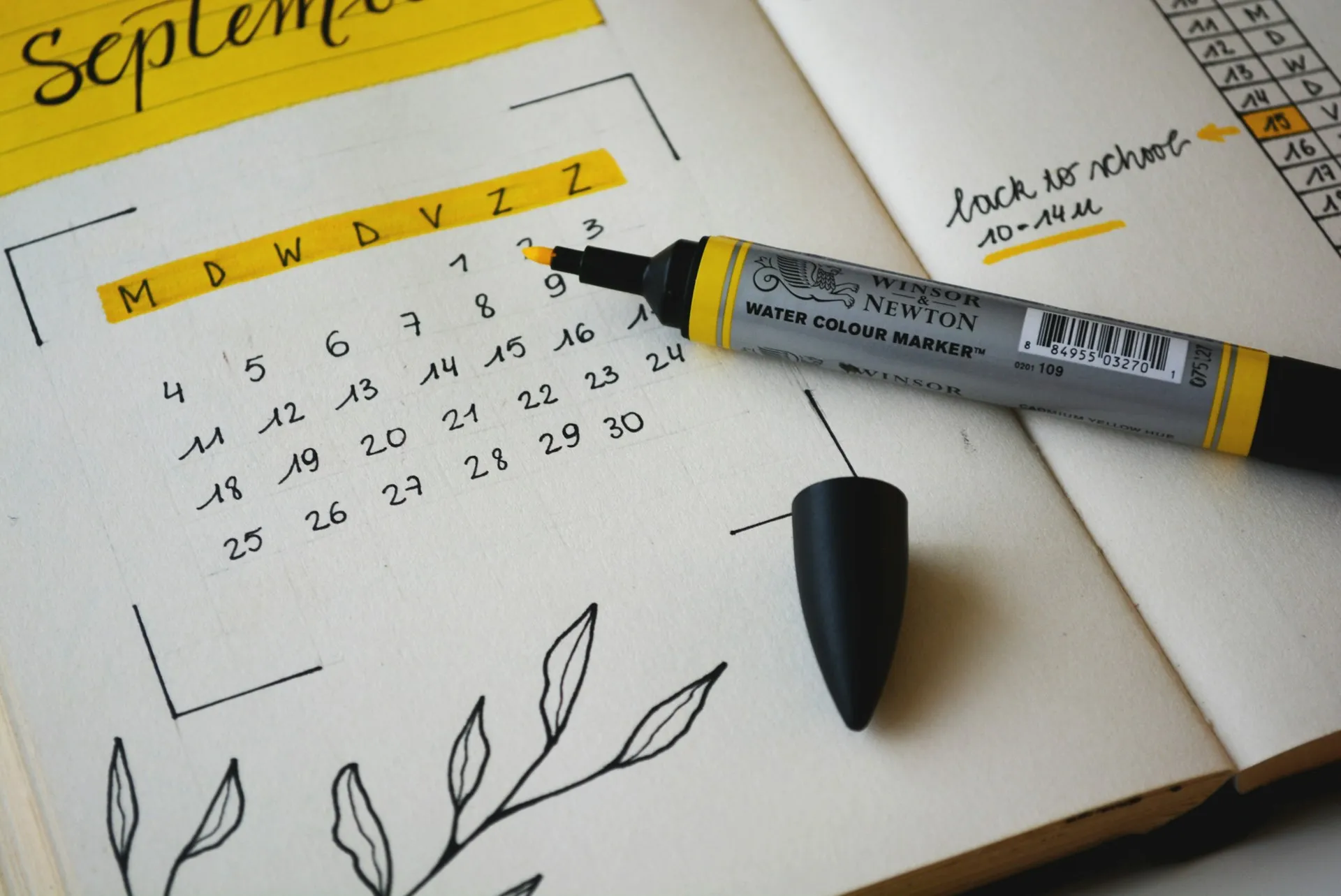 Seasonal Products: How to Plan a Selling Calendar for the Year